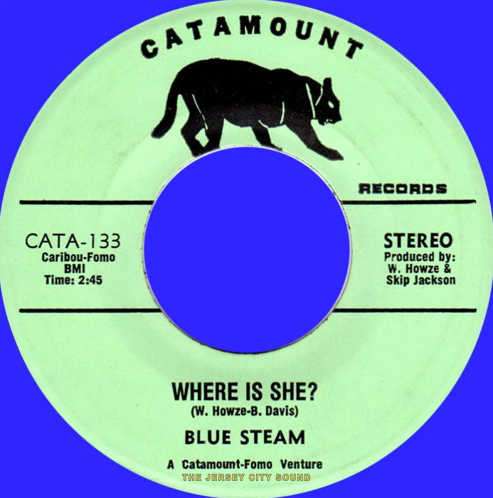 Blue Steam 45 on Catamount Records — Where Is She? (stereo)