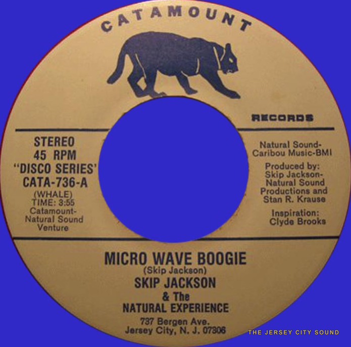 Skip Jackson & The Natural Experience 45 on Catamount Records — Micro Wave Boogie
