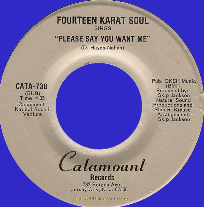 Fourteen Karat Soul 45 on Catamount Records — Please Say You Want Me
