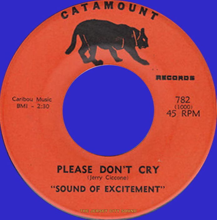 Sound Of Excitement 45 on Catamount Records — Please Don't Cry